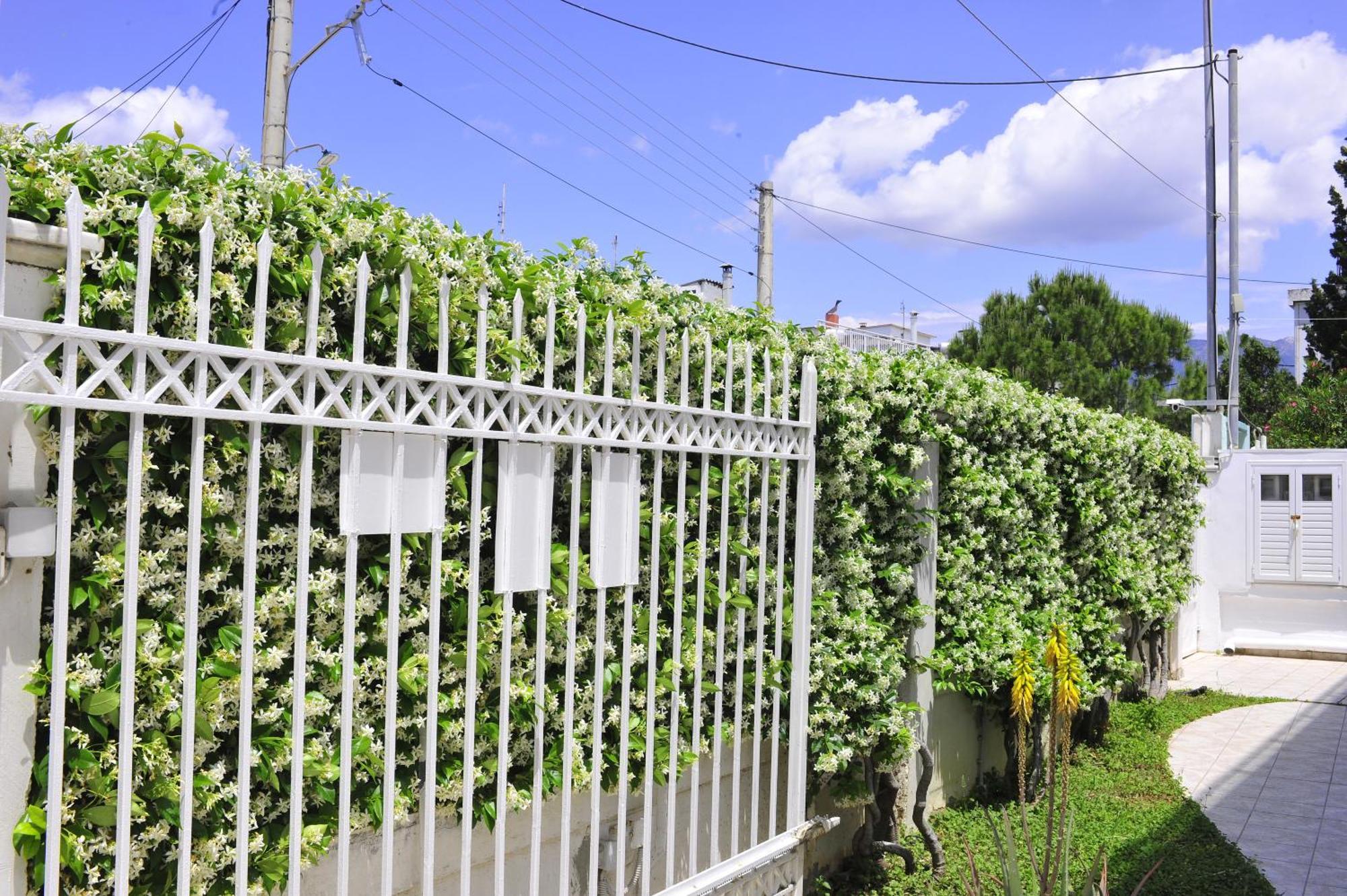 Peloponeese Corinthos Seaside Villa For Short Rent Kültér fotó